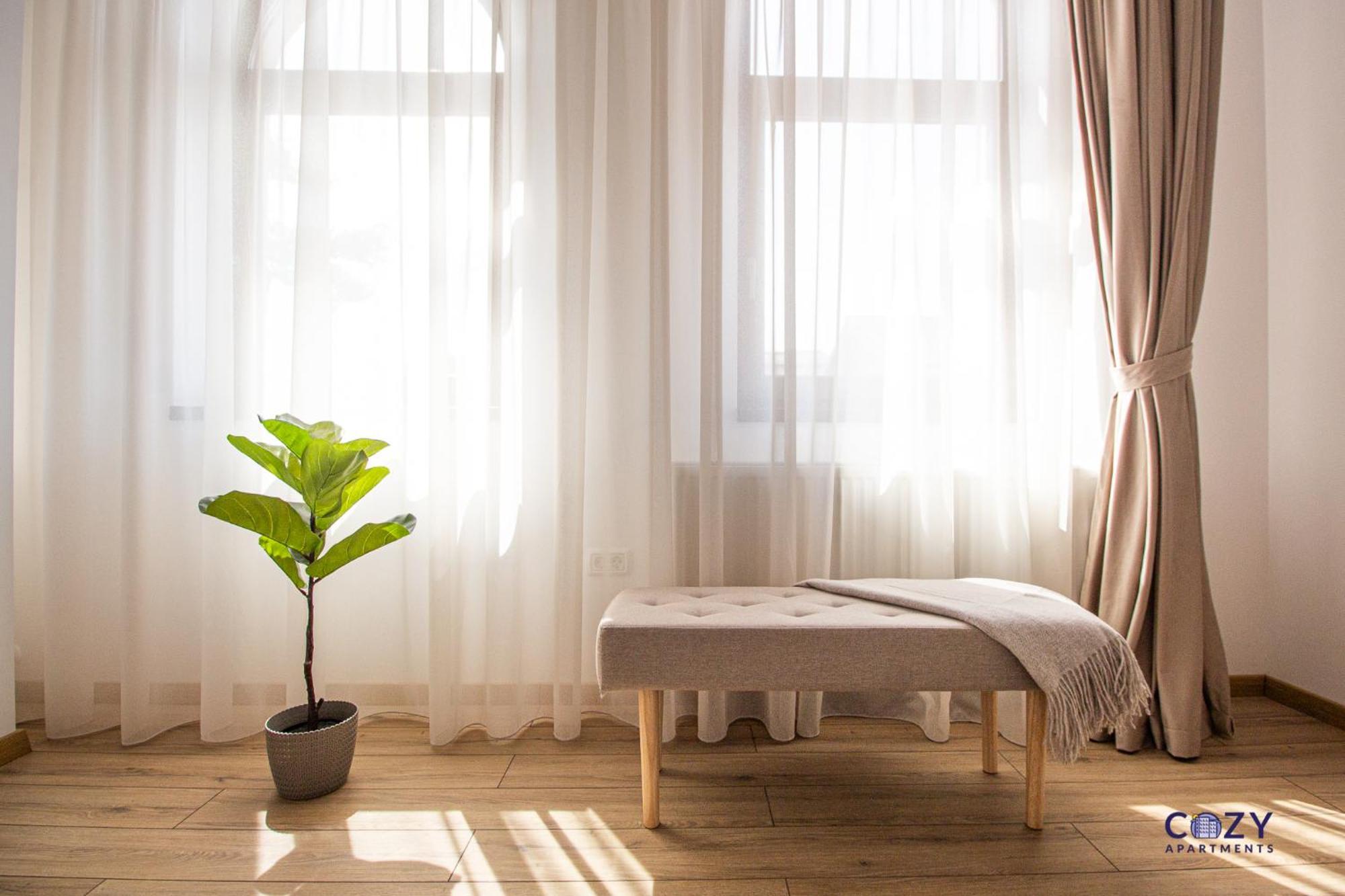 Cozy Brand New Boutique Aparthotel براشوف المظهر الخارجي الصورة