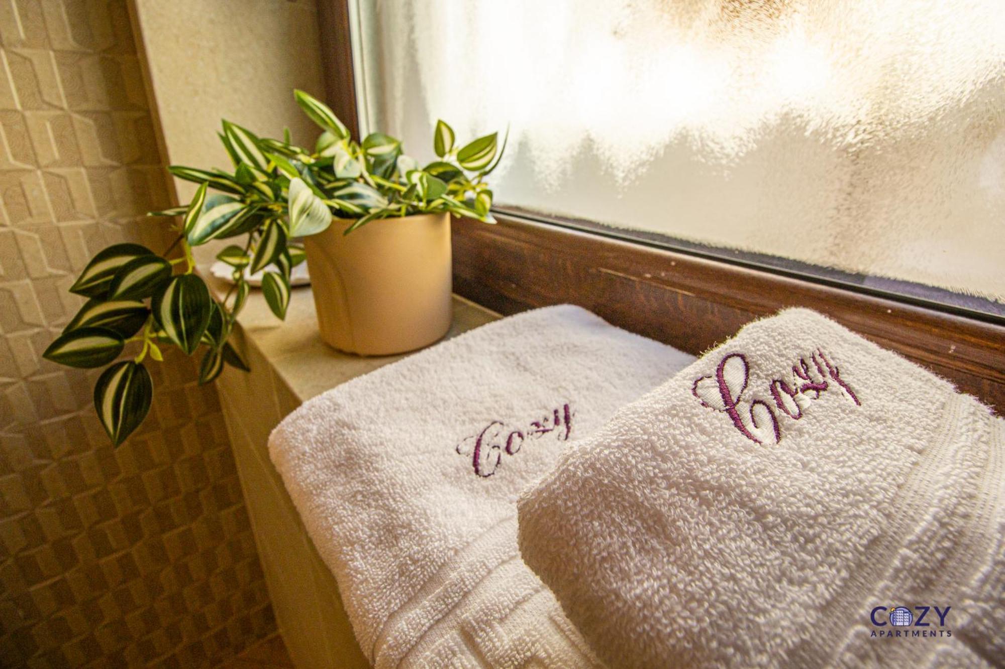 Cozy Brand New Boutique Aparthotel براشوف المظهر الخارجي الصورة